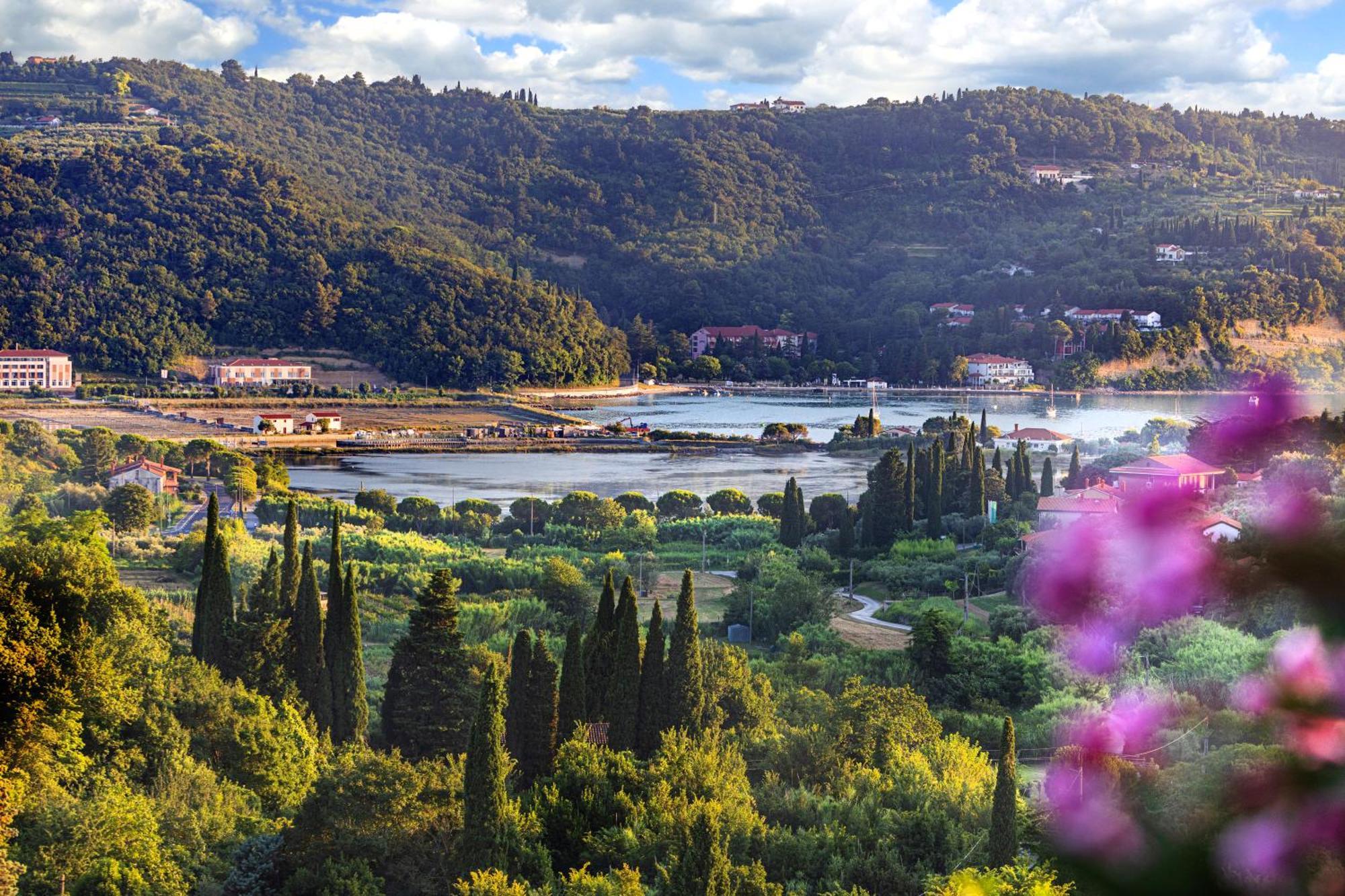 Apartmán House Olive Garden Strunjan Exteriér fotografie