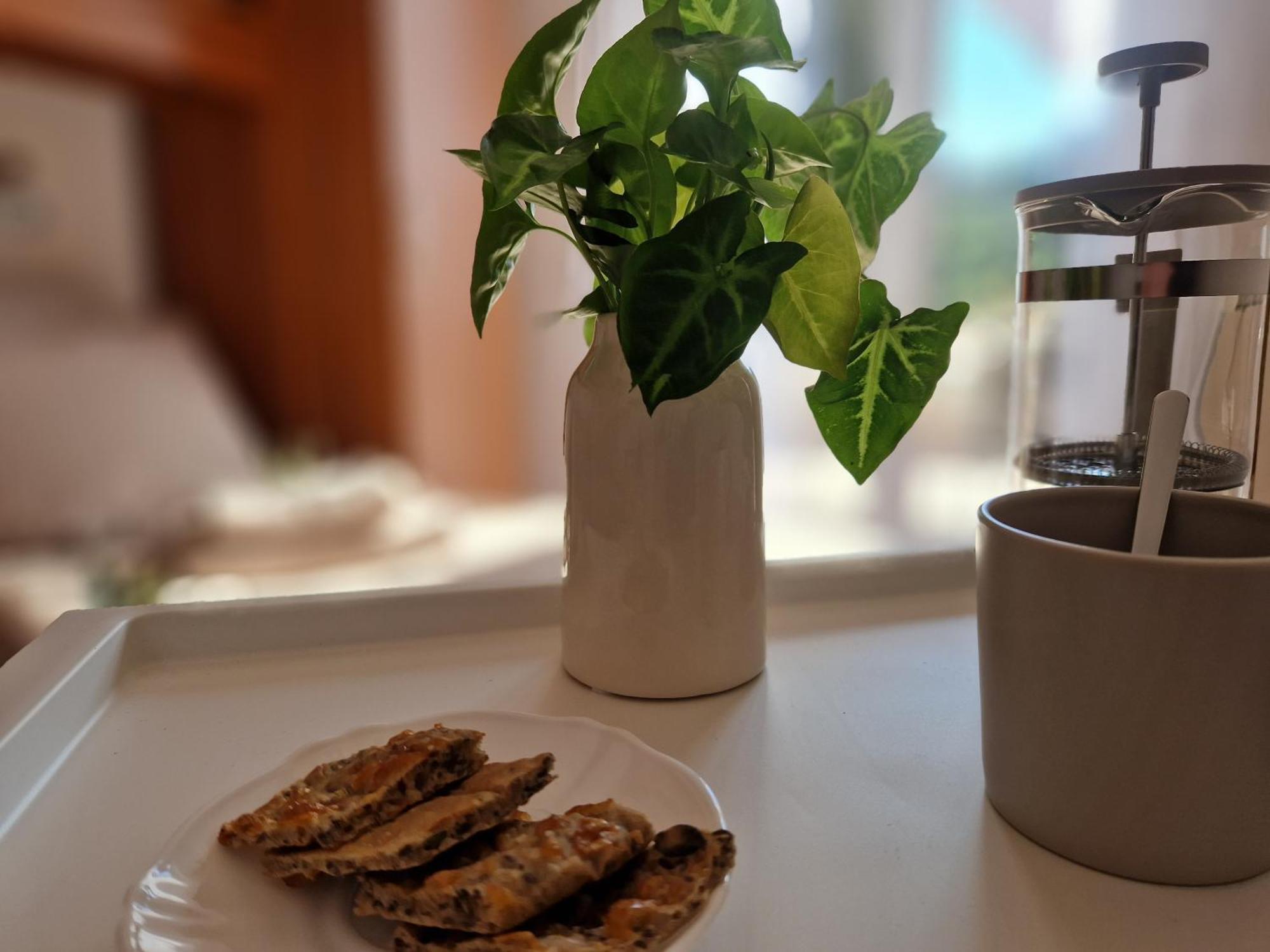 Apartmán House Olive Garden Strunjan Exteriér fotografie