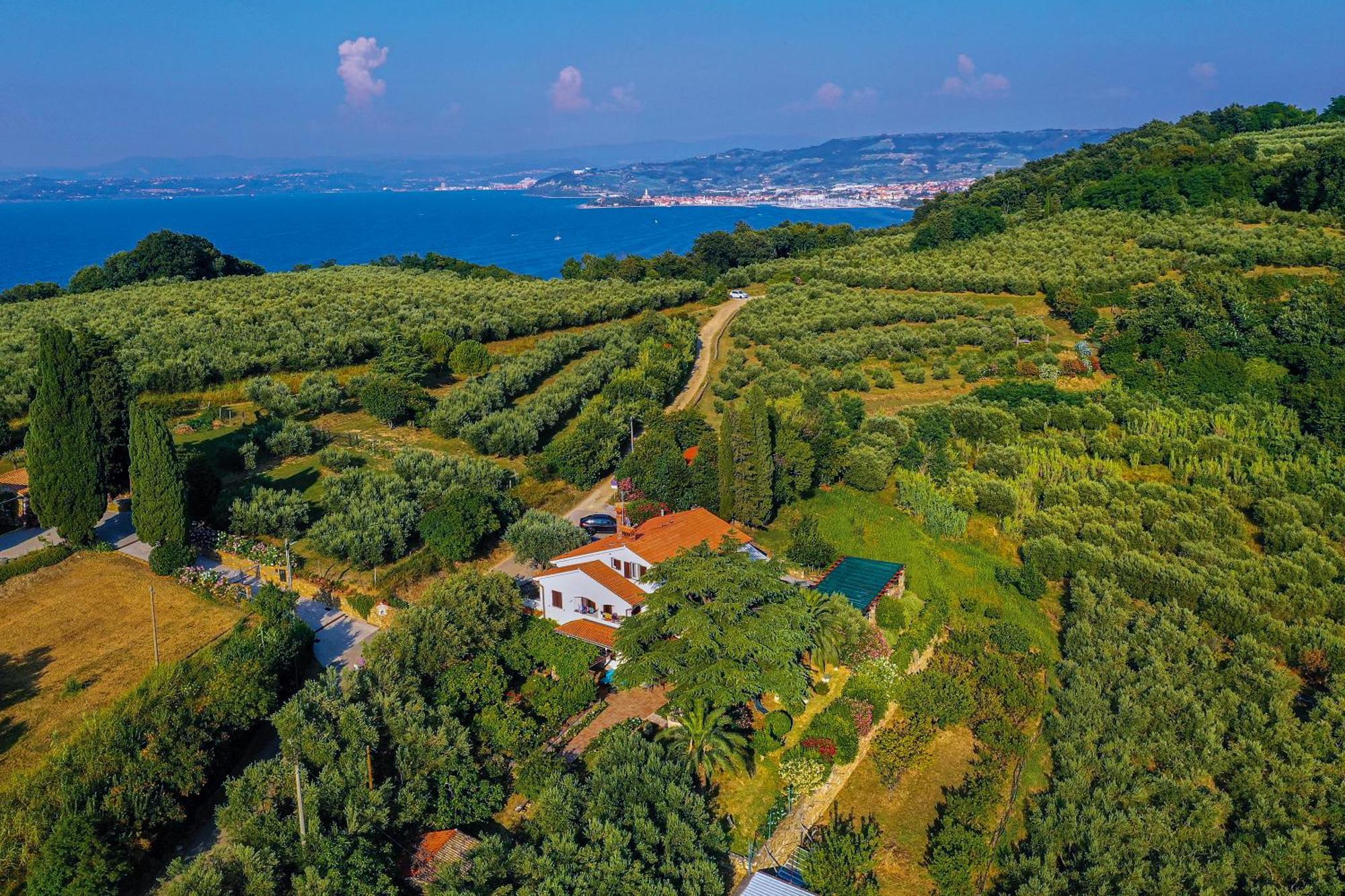 Apartmán House Olive Garden Strunjan Exteriér fotografie