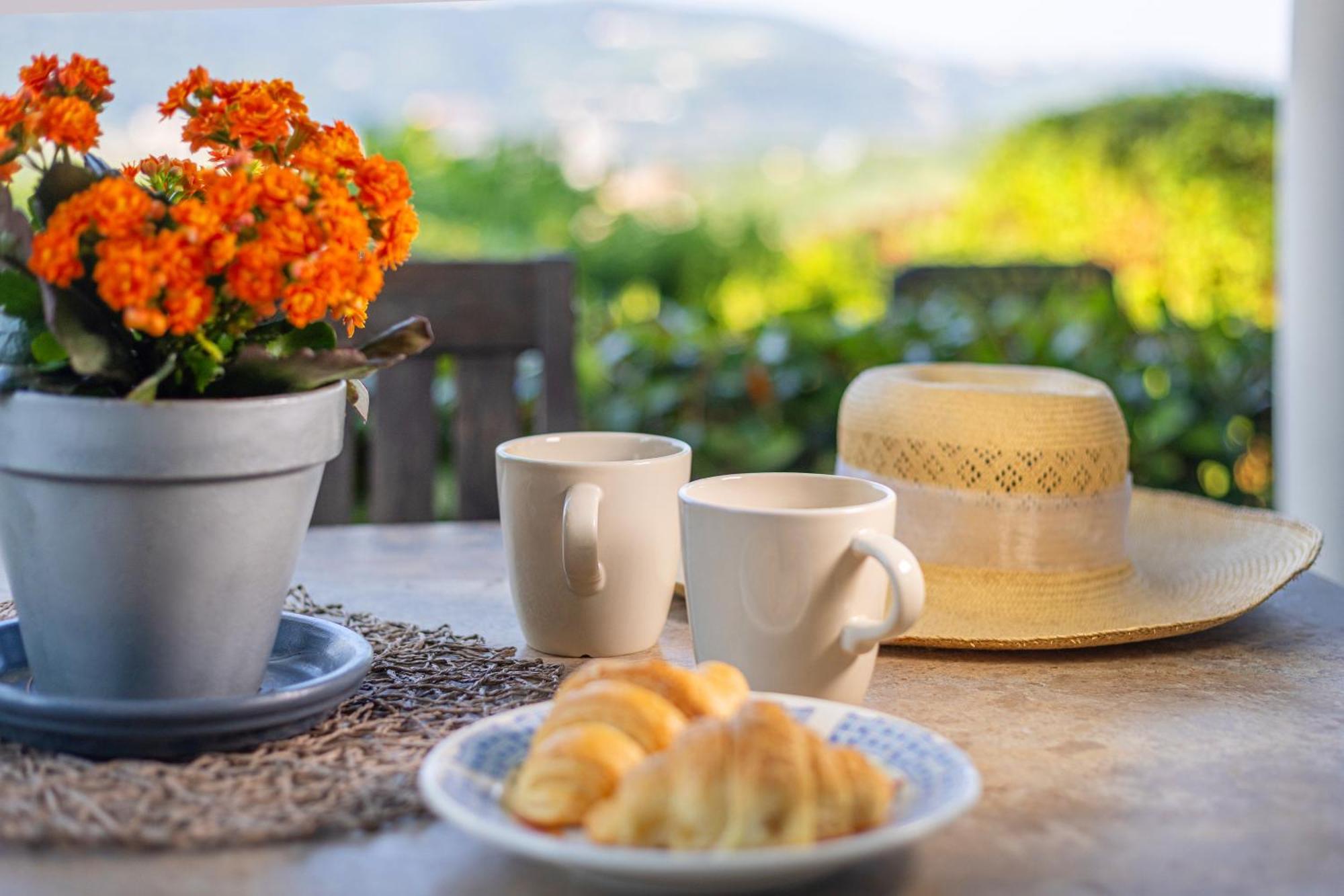 Apartmán House Olive Garden Strunjan Exteriér fotografie